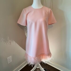 Likely Pink Dress with Feather Detail/ Nordstroms
